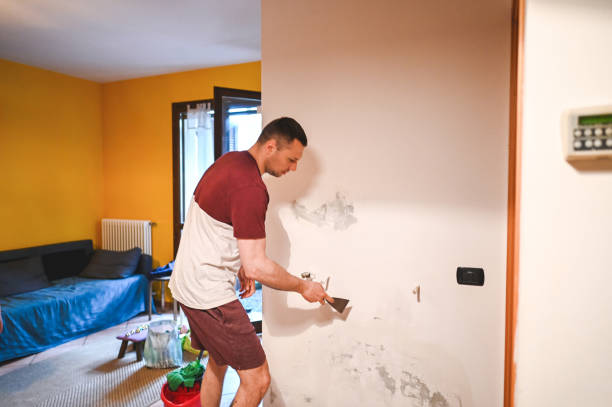 Best Emergency Mold Remediation in Steubenville, OH